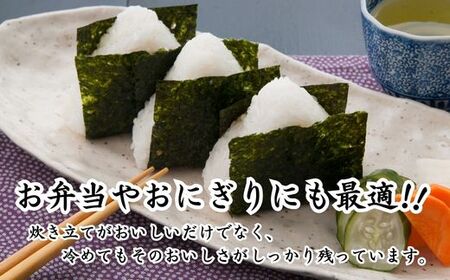 先行予約 令和7年産米 村岡産 コシヒカリ 特別栽培米 精米5kg 米 71-01