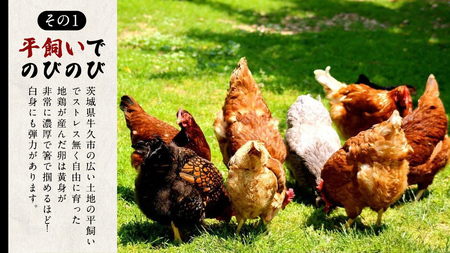 【3ヵ月 連続 定期便】王様の卵 ヨード入 20個 (15個+割れ保障5個 ) 計60個