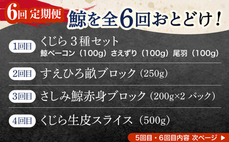 【6回定期便】贅沢三昧くじら食べ比べ定期便[OBR014]