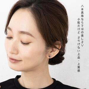 Pt ベビーパール あこや真珠 小粒4.5mm 黒染めPt900ピアス　両耳用1個（1ペア） AEN0008