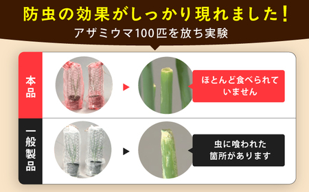サンサンネット クロスレッド（XR2700・目合い0.8mm・幅1.35ｍ×長さ10ｍ） / 防虫 虫よけ 防虫ネット[AFCA019]