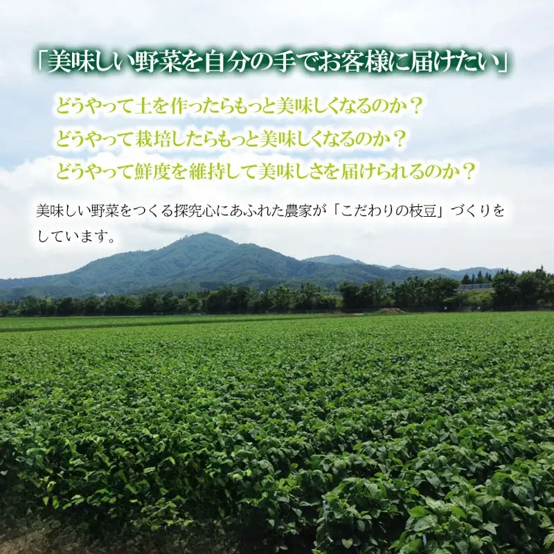 【令和8年産先行予約】【8/17～8/23発送】 朝採り生だだちゃ豆 1.2kg(600g×2袋) 山形県鶴岡市産　株式会社菜な八（鶴岡ファーマーズ）