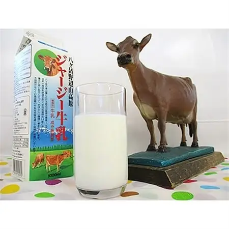 【ヤツレン】信州から牛乳を使った製品セット(牛乳、ヨーグルトなど)【配送不可地域：離島】【1079780】