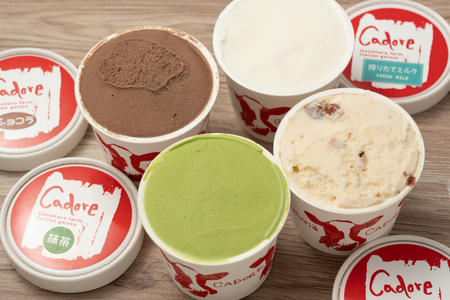カドーレ牧場手づくりジェラートセット