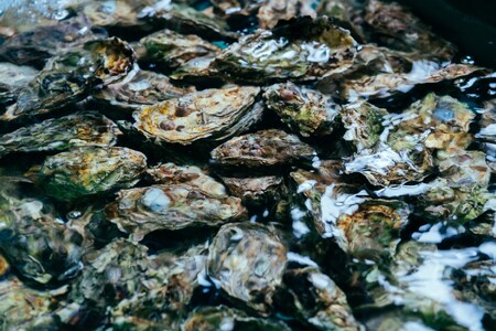 【予約商品】牡蠣　広島　カンカン焼き（30個入）　矢野水産【配送不可：離島】【配送時期：2027年1月上旬～2027年4月上旬】