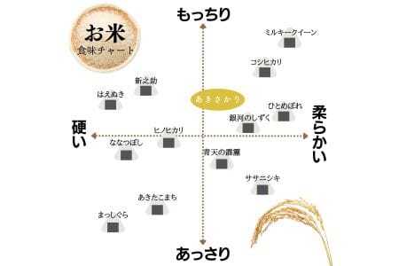 【定期便】令和7年産 10kg 【12ヵ月連続お届け】 計120kg 広島県産 あきさかり お米マイスター厳選