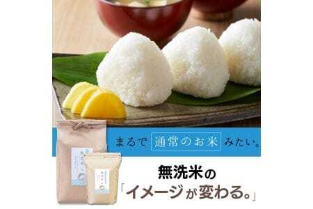 【定期便】令和7年産 5kg 【6ヵ月連続お届け】 計30kg 広島県産 無洗米 ラクしても美味しさそのまま お米マイスター厳選