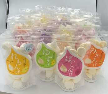 とびしま詰め合わせセットD（れもんげなど9種各2袋）