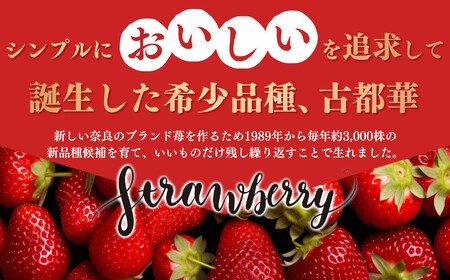 【先行予約】平群 の 古都華 2L 〜 3L サイズ 2パック 扇田農園 | フルーツ いちご 古都華 奈良県 平群町