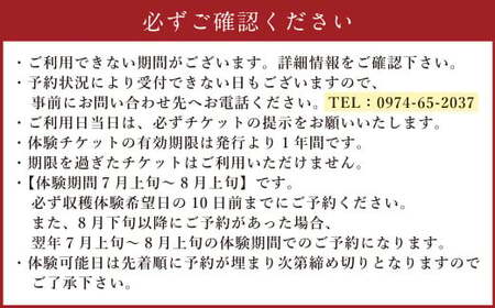 【体験期間毎年7月上旬～8月上旬限定】竹田市菅生のスイートコーン！その場でガブリ！収穫体験～お1人様5本持ち帰れる！～（1チケット15名様チケット）