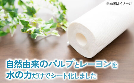 キッチンロールPro Ｍ 10本[AQAD007] キッチンペーパー