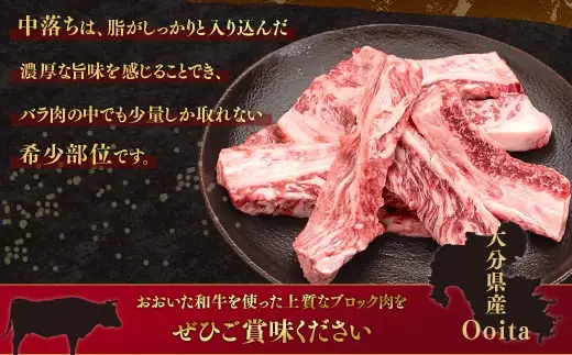 おおいた和牛 中落ちカルビ 約500g