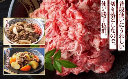 博多和牛A4ランク以上切り落とし　訳あり！　400g
