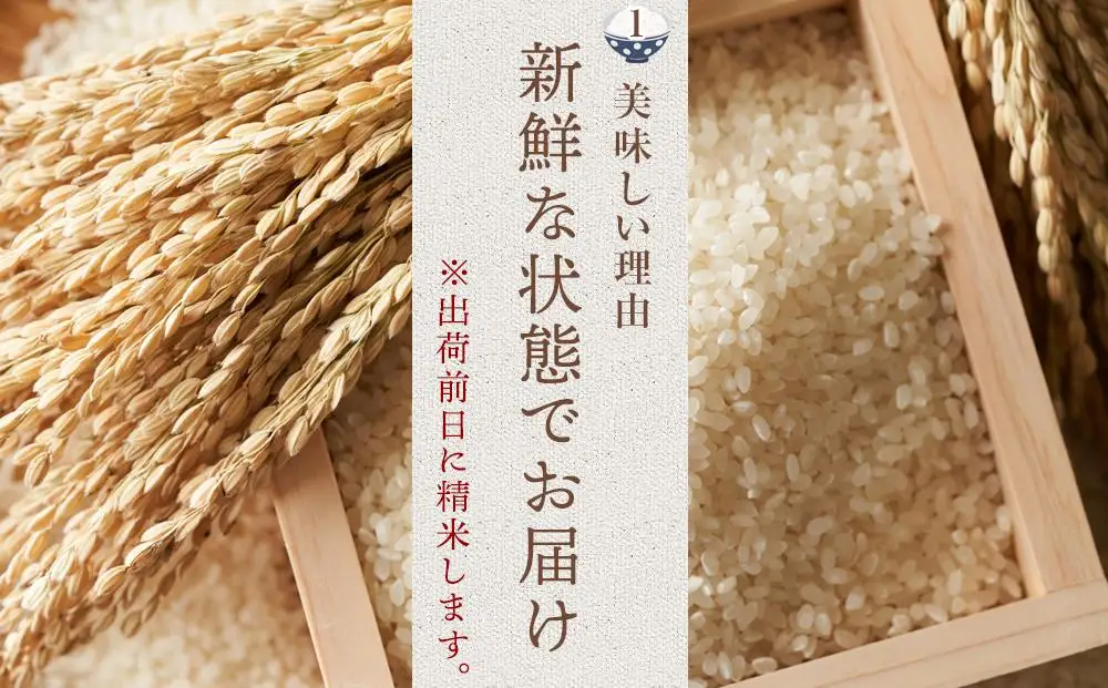 【令和7年産】福岡県産 米 夢つくし 15kg セット ( 5kg×3袋 ) | 米 お米 こめ 白米 精米 ライス ブランド米 美味しい ご飯 おいしい ごはん