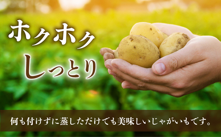 【先行受付2026年発送】長野県産新じゃがいも 生きた土壌で育った『白土馬鈴薯10kg』｜里山JAPAN※2026年8月上旬以降発送予定