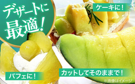 メロン【6月下旬から順次発送】 タカミ メロン Lサイズ 2玉入り（2.2kg～2.5kg) メロン[AGDG003]