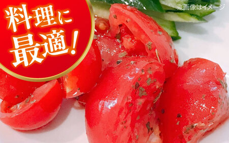 トマト【4月中旬から順次発送】 トマト 桃太郎ネクスト 18～24個入り（約3～4kg） トマト[AGDG007]