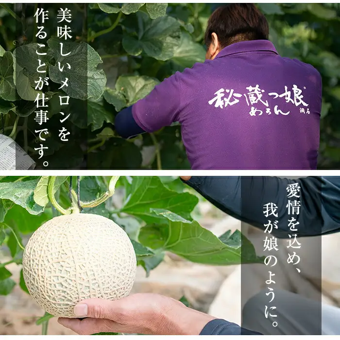極上メロン「秘蔵っ娘」赤玉(赤肉)2個 メロン マスクメロン 果物 くだもの デザート 赤肉 b5-036