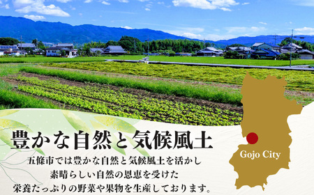 季節の野菜セットC | 詰め合わせ 果物 新鮮 お試し おすすめ 冬 春 夏 秋 国産 奈良県 五條市