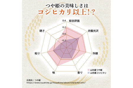 米 令和7年産 つや姫 5kg 特別栽培米 精米 [農家の蔵出し米生産組合 山形県 高畠町 tk06ays900022]
