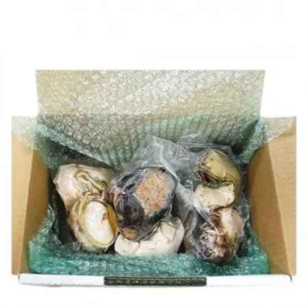 夜光貝 3パック 800g(1パックあたり200g～300g)【配送不可地域：離島】【1544708】