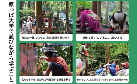 原っぱ大学 割引チケット 15000円分 体験 チケット フィールドワーク レジャー お出かけ スポット 親子体験 リフレッシュ デジタルデトックス リトリート 山 海神奈川県 逗子市