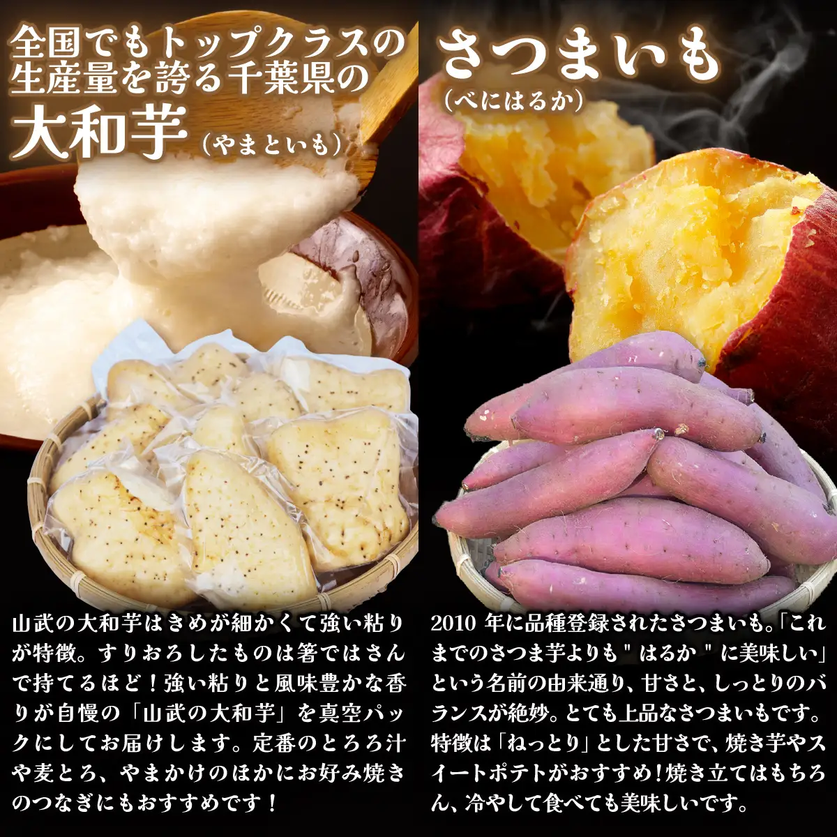 農家直送! 直売所でも大人気! こだわりのいもセット4kg 大和芋2kg＋さつまいも2kg　ふるさと納税 いも 芋 ヤマトイモ 大和芋 さつまいも サツマイモ べにはるか 芋セット 農家直送 千葉県 山武市 SMCH002