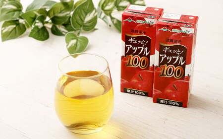 アップル100 200ml×12本 合計2400ml 厳選 りんご 果汁 100% 濃縮還元 林檎 ジュース リンゴジュース 常温 飲料 熊本県 らくのうマザーズ