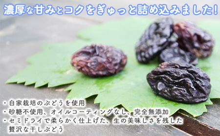 【秀果園】ぶどう農家のセミドライぶどうミックス500g ×1袋｜巨峰、シャインマスカット、ナガノパープルなど レーズン 無添加 砂糖不使用