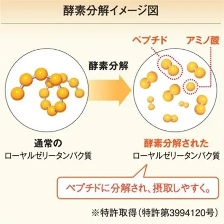 酵素分解ローヤルゼリー CoQ10(5935)【1112651】