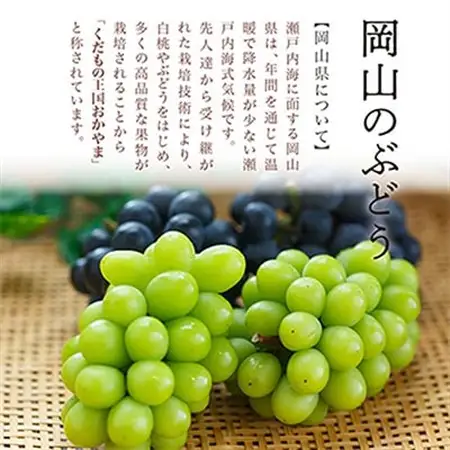 【先行受付】岡山県産マスカットオブアレキサンドリア1房(秀品以上・700g以上)化粧箱入り【配送不可地域：離島・北海道・沖縄県】【1150087】