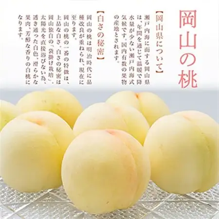 【先行受付】岡山県産　白桃8玉(1.7kg以上)　化粧箱入り【配送不可地域：離島・北海道・沖縄県】【1281363】
