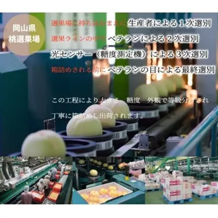 【先行受付】岡山白桃 ロイヤル 3玉×300g(3Lサイズ) 岡山県産【配送不可地域：離島・北海道・沖縄県】【1305727】