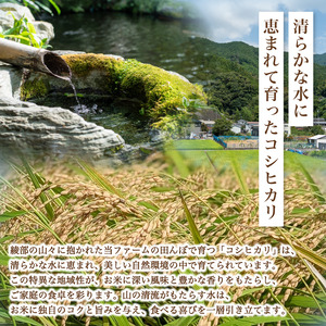 コシヒカリ 10㎏ 精米 減農薬コシヒカリ