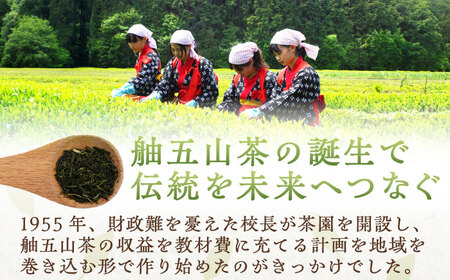 舳五山茶　「一番茶」500g / 緑茶 茶葉 茶ば お茶 茶摘み / 御嵩町 / 舳五山茶園委員会[AVAD007]
