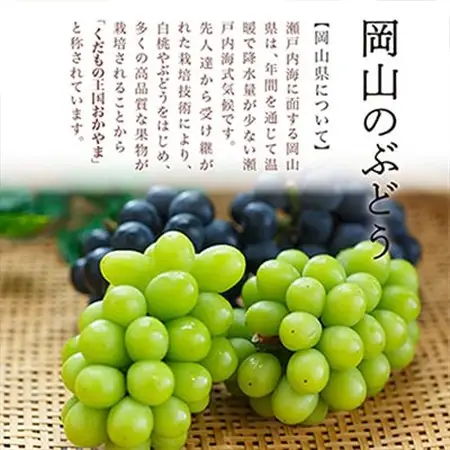 【先行受付】岡山県産　シャインマスカット『晴王』4房(1房480g以上・合計約2kg)　【配送不可地域：離島・北海道・沖縄県】【1360475】