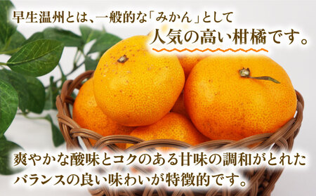 訳あり 早生温州 9kg まる玉農園 訳あり B010-172004