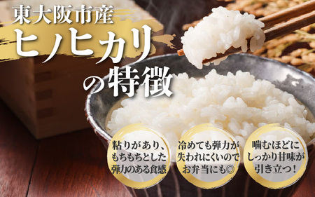 【３か月定期便】東大阪市産 ヒノヒカリ 令和7年度産 5㎏ お米マイスター厳選 トライ米 月1×3回
