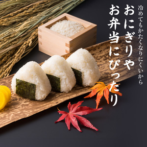 ミルキークイーン 15kg 減農薬ミルキークイーン 精米