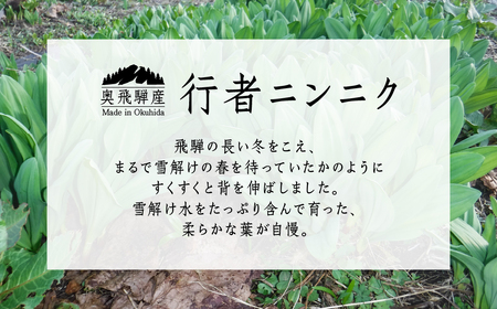 ピリッと旨い！ご飯のお供 ！行者ニンニクだし醤油漬け 5個 おつまみ ごはん おかず 米 [Q2799]