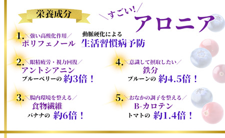 【先行予約】アロニア（ブラックベリー）1kg アロニア JA小松市