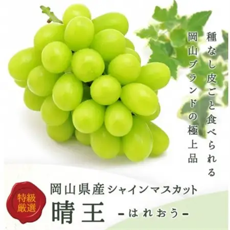 【先行受付】岡山県産詰合/ニューピオーネ2房・シャインマスカット晴王2房 各(1房480g以上)【配送不可地域：離島・北海道・沖縄県】【1499106】