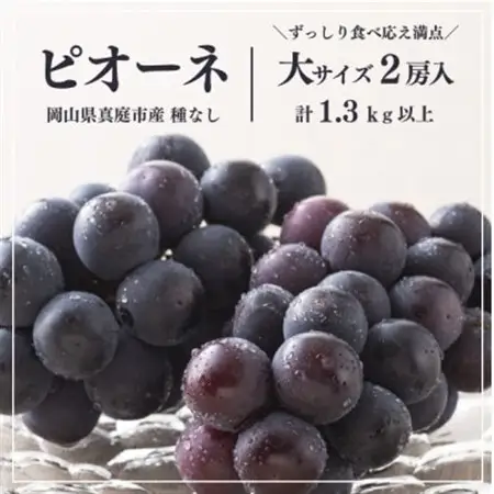 果樹園自慢のピオーネ! 甘さも濃厚 大サイズ2房入/計1.3kg～ ご家庭用(岡山県産)【配送不可地域：離島】【1535984】