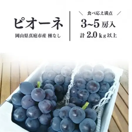 岡山県の代表葡萄「ピオーネ」 上級品 3-5房入/計2kg～(岡山県産) 果樹園で長く愛される葡萄!【配送不可地域：離島】【1535986】