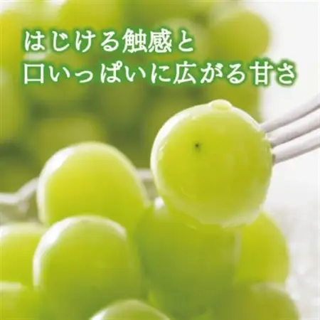 シャインマスカット 3-5房/計2kg～ (岡山県産) 果樹園こだわりの「きよとう」シャイン!【配送不可地域：離島】【1548980】