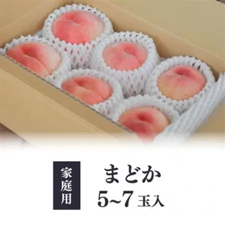 上品な肉質 「まどか」 ご家庭用 5-7玉 (岡山県産) きよとう果樹園の人気桃!【配送不可地域：離島】【1571599】