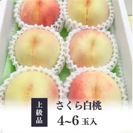 しっかりとした果肉が美味しい「さくら白桃」 上級品 4-6玉 (岡山県産)【配送不可地域：離島】【1571605】
