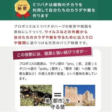 【毎月定期便】プロポリス粒 (486)全3回【4008978】