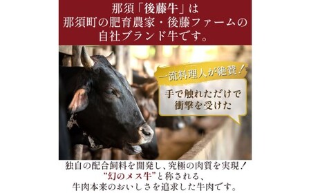 【小分け】那須町産 那須の後藤牛 サイコロステーキ用 400g(200g×2パック)〔P-326〕 ｜お肉 肉 牛肉 国産 真空パック サイコロステーキ ステーキ 冷凍 那須 栃木県 那須町
