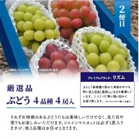 【発送月固定定期便】桃、ぶどう、梨の最上級品を旬の時期にお届け!果樹園の厳選セット(岡山県産)全3回【配送不可地域：離島・北海道・沖縄県】【4062767】